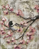Cherry Blossom Bird II Framed Print