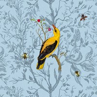 Golden Oriole Fine Art Print