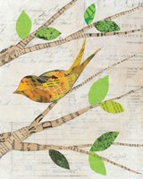 Birds in Spring II Framed Print