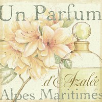 Fleurs and Parfum III Framed Print