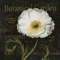 Botanical Garden II Framed Print