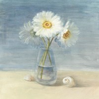 Daisies and Shells Framed Print