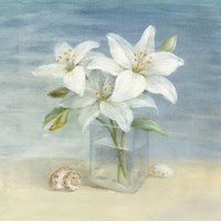 Lilies and Shells Framed Print