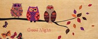 Good Night Owl Fine Art Print