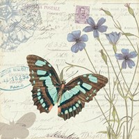 Papillon Tales I Framed Print
