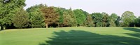 Trees on a golf course, Woodholme Country Club, Baltimore, Maryland, USA Fine Art Print
