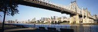 Queensboro Bridge Over East River, Manhattan Fine Art Print