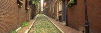 Street View of Beacon Hill, Boston Massachusetts Fine Art Print