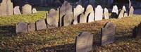Tombstones in a cemetery, Copp's Hill Burying Ground, Boston, Massachusetts Fine Art Print