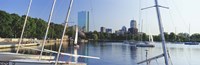Sailboats in a river with city in the background, Charles River, Back Bay, Boston, Suffolk County, Massachusetts, USA Fine Art Print