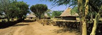Stone wall along a dirt road, Thimlich Ohinga, Lake Victoria, Great Rift Valley, Kenya Fine Art Print