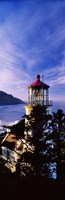 Lighthouse at a coast, Heceta Head Lighthouse, Heceta Head, Lane County, Oregon (vertical) Fine Art Print