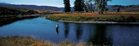 Trout fisherman Slough Creek Yellowstone National Park WY Fine Art Print