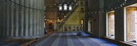 Interior of a mosque, Istanbul, Turkey Fine Art Print