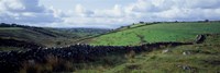 Stone wall on a landscape, Republic of Ireland Fine Art Print