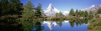 Reflection of trees and mountain in a lake, Matterhorn, Switzerland Fine Art Print