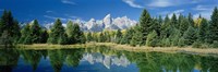 Reflection of trees in water with mountains, Schwabachers Landing, Grand Teton, Grand Teton National Park, Wyoming, USA Fine Art Print