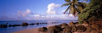 Rocks on the beach, Anini Beach, Kauai, Hawaii, USA Framed Print
