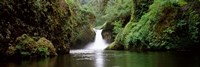Waterfall in a forest, Punch Bowl Falls, Eagle Creek, Hood River County, Oregon, USA Fine Art Print