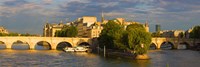 Arch bridge over a river, Pont Neuf, Seine River, Isle de la Cite, Paris, Ile-de-France, France Fine Art Print