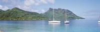 Sailboats in the sea, Tahiti, Society Islands, French Polynesia Fine Art Print