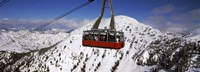 Overhead cable car in a ski resort, Snowbird Ski Resort, Utah Fine Art Print