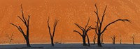 Dead trees by red sand dunes, Dead Vlei, Namib-Naukluft National Park, Namibia Fine Art Print
