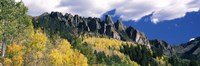 Forest on a mountain, Jackson Guard Station, Ridgway, Colorado, USA Fine Art Print