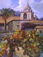 Vineyard at San Miguel Framed Print