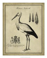 Antiquarian Stork Fine Art Print