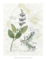 Rosemary & Sage Fine Art Print