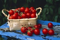 Still life of cherry tomatoes in a rectangular woven basket sitting on distressed blue painted table top Fine Art Print