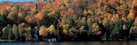 Autumn trees Laurentide Quebec Canada Fine Art Print
