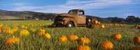 Old Rusty Truck in Pumpkin Patch, Half Moon Bay, California, USA Fine Art Print