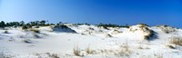 Sand dunes in a desert, St. George Island State Park, Florida Panhandle, Florida, USA Fine Art Print