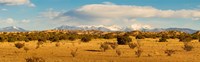 High desert plains landscape with snowcapped Sangre de Cristo Mountains in the background, New Mexico Framed Print