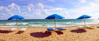 Lounge chairs and beach umbrellas on the beach, Fort Lauderdale Beach, Florida, USA Fine Art Print