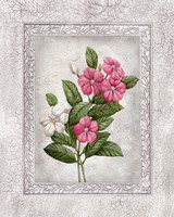 Floral III Framed Print