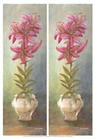 2-Up Lily Vertical Fine Art Print