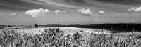 Shore Panorama III Framed Print