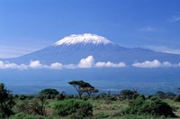 Africa, Tanzania, Mt Kilimanjaro, landscape and zebra Framed Print