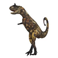 Carnotaurus dinosaur Framed Print