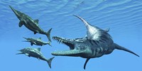 Liopleurodon reptile hunting Ichthyosaurus dinosaurs in Jurassic seas Framed Print