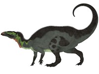Camptosaurus, a herbivorous dinosaur from the Late Jurassic Period Framed Print