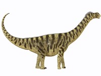 Camarasaurus was a sauropod dinosaur that lived during the Jurassic Age Framed Print
