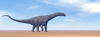 Large Argentinosaurus dinosaur walking in the desert Framed Print