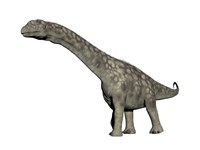 Argentinosaurus dinosaur, white background Framed Print