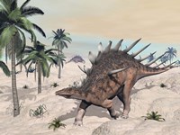 Kentrosaurus dinosaurs walking in the desert among palm trees Framed Print