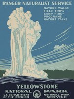 Yellowstone National Park Fine Art Print