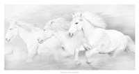 All the White Horses Framed Print